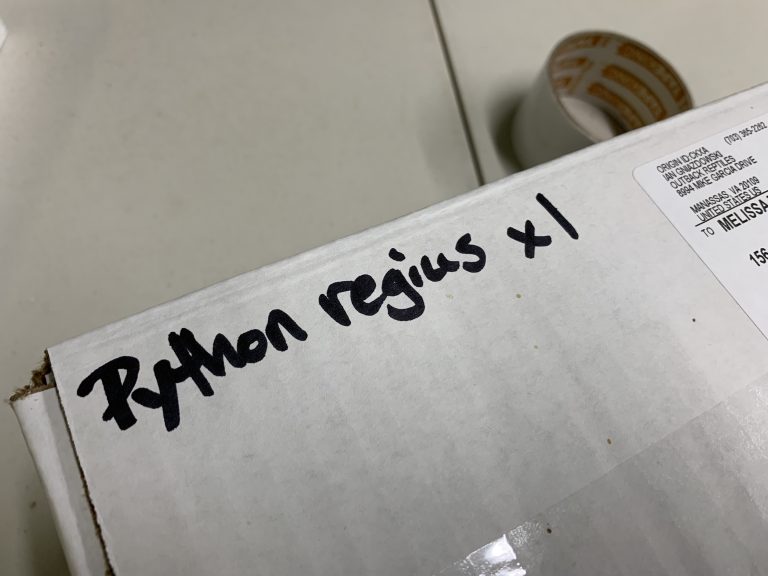 How to Ship Live Reptiles Outback Reptiles