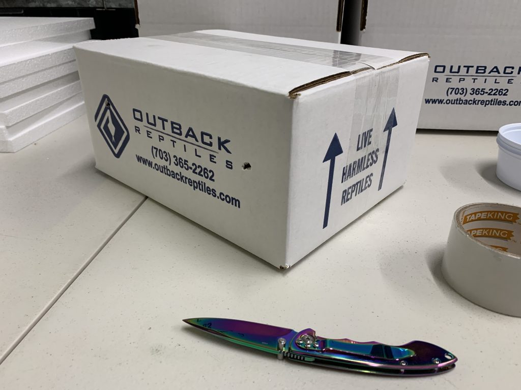 How to Ship Live Reptiles Outback Reptiles