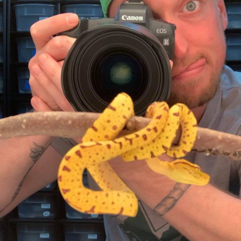 reptile photography tips and tricks