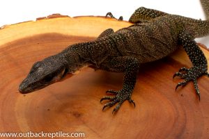 Peach Throat Monitor