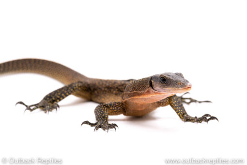 Peach throat monitor for sale