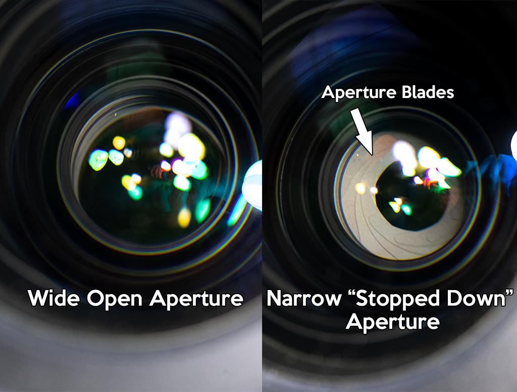 Aperture Blades close-up. Reptile Photography tutorial