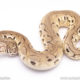 pewter clown ball python for sale