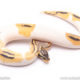 Pastel Yellowbelly Pied ball python for sale