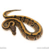 African Import Dinker Ball Python for sale