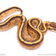 super stripe ball python for sale
