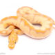 Banana enchi CLown ball python for sale