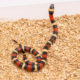 Apricot Pueblan milksnake for sale
