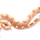 Sunglow redtail boa for sale