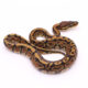 Africa import dinker ball python for sale