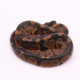 Africa import dinker ball python for sale