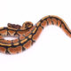 Africa import dinker ball python for sale