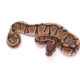 Africa import dinker ball python for sale