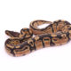 Africa import dinker ball python for sale