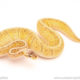 ball python for sale