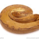 ball python for sale